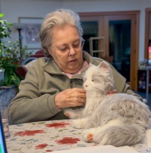 A hospice patient in a grey quarter zip sweatshirt pets a silver and white robotic companion cat