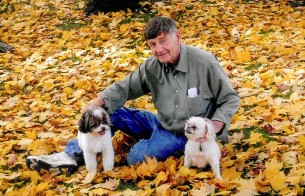 A man with dark hair and a green shirt sits in yellow leaves with two small dogs