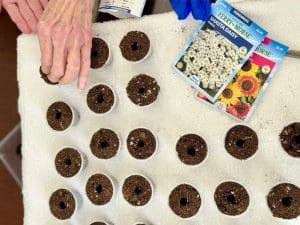 Small clear Dixie cups filled with soil and small hole in the center rest on top of a white towel. An older woman's hand delicately places a seed in one. Colorful seed packets rest on the towel.