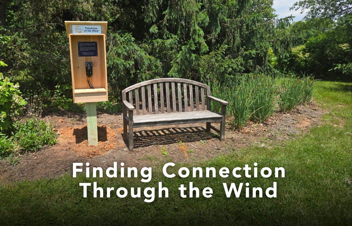 A bench in C.M. Crockett park next to what looks like an old fashioned pay phone set in a wooden box